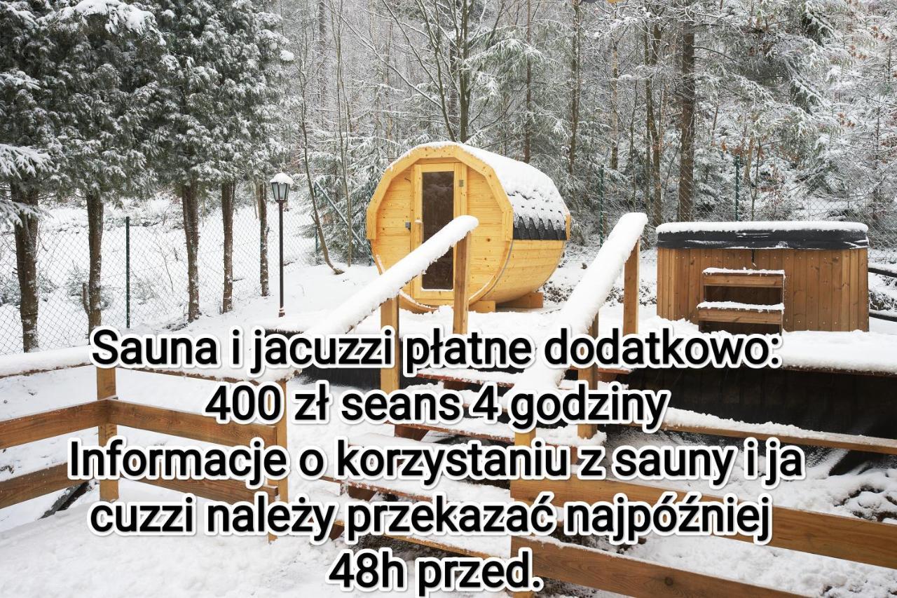 Apartament Widokowy Z Jacuzzi I Sauna Na Wylacznosc - Sikorowka - Dobre Miejsce Wisła Extérieur photo